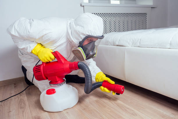 Best Termite Control Services  in Renovo, PA