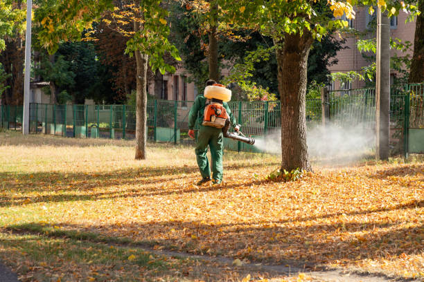 Best Commercial Pest Control Services  in Renovo, PA